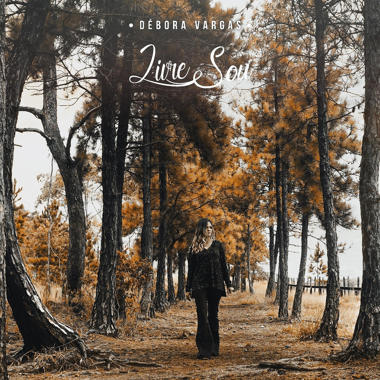 Релиз Livre Sou