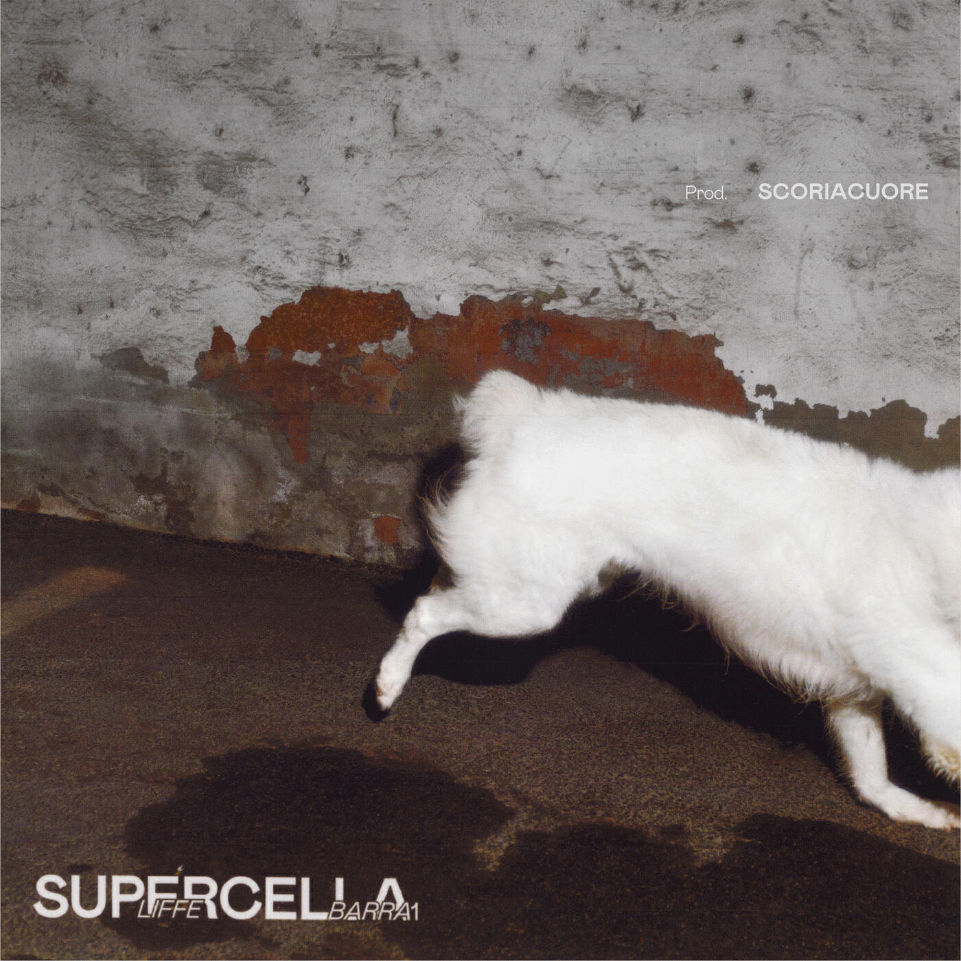 Релиз SUPERCELLA