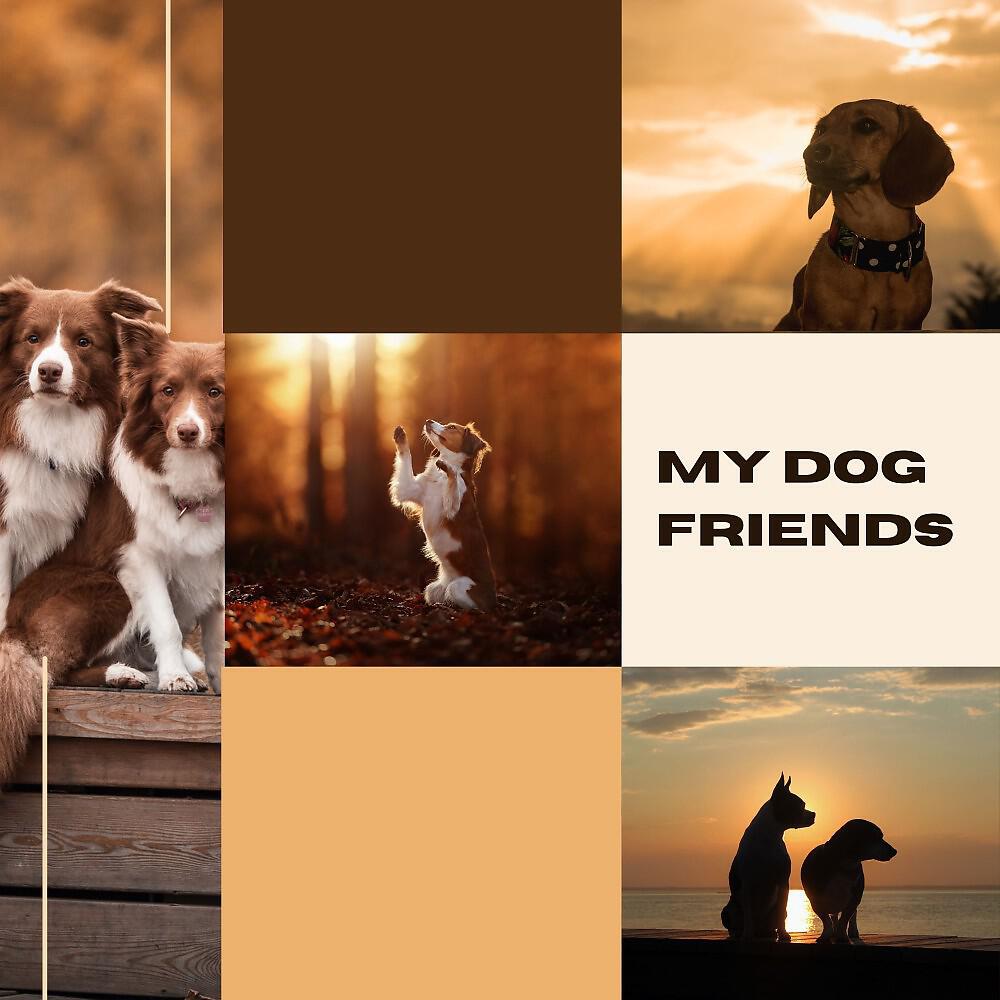 Релиз My Dog Friends