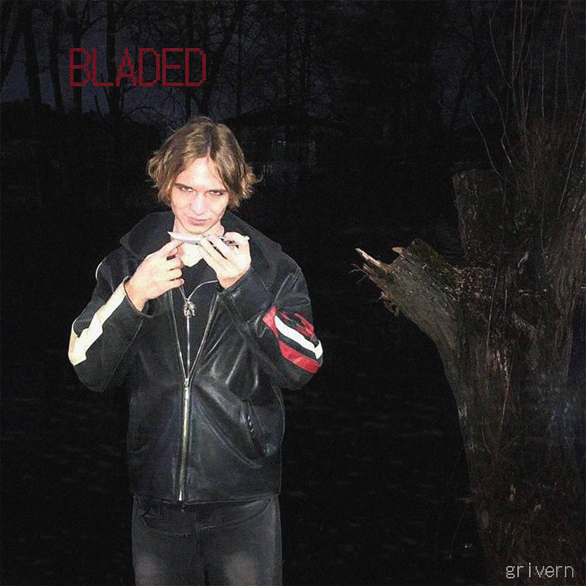 Релиз Bladed