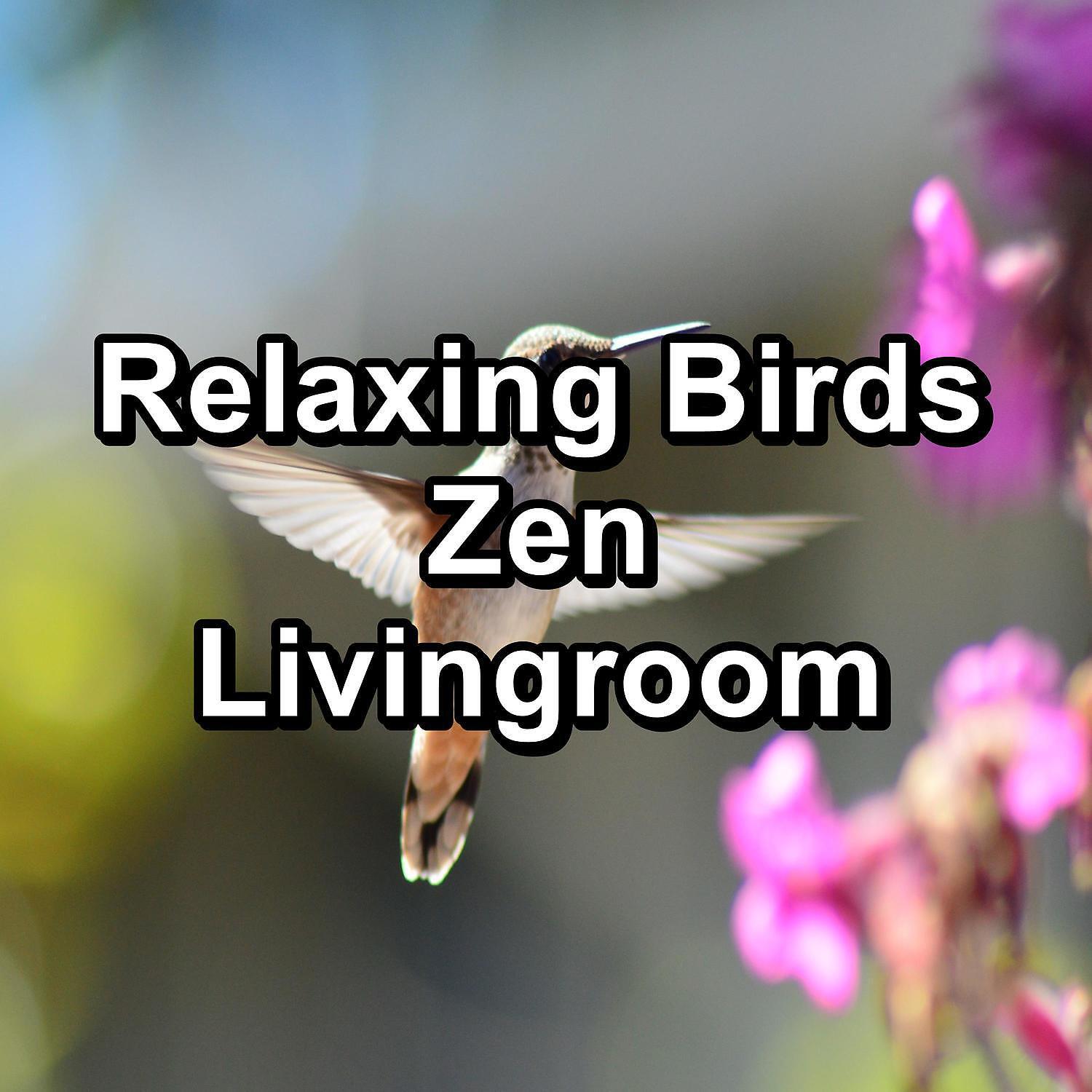Релиз Relaxing Birds Zen Livingroom
