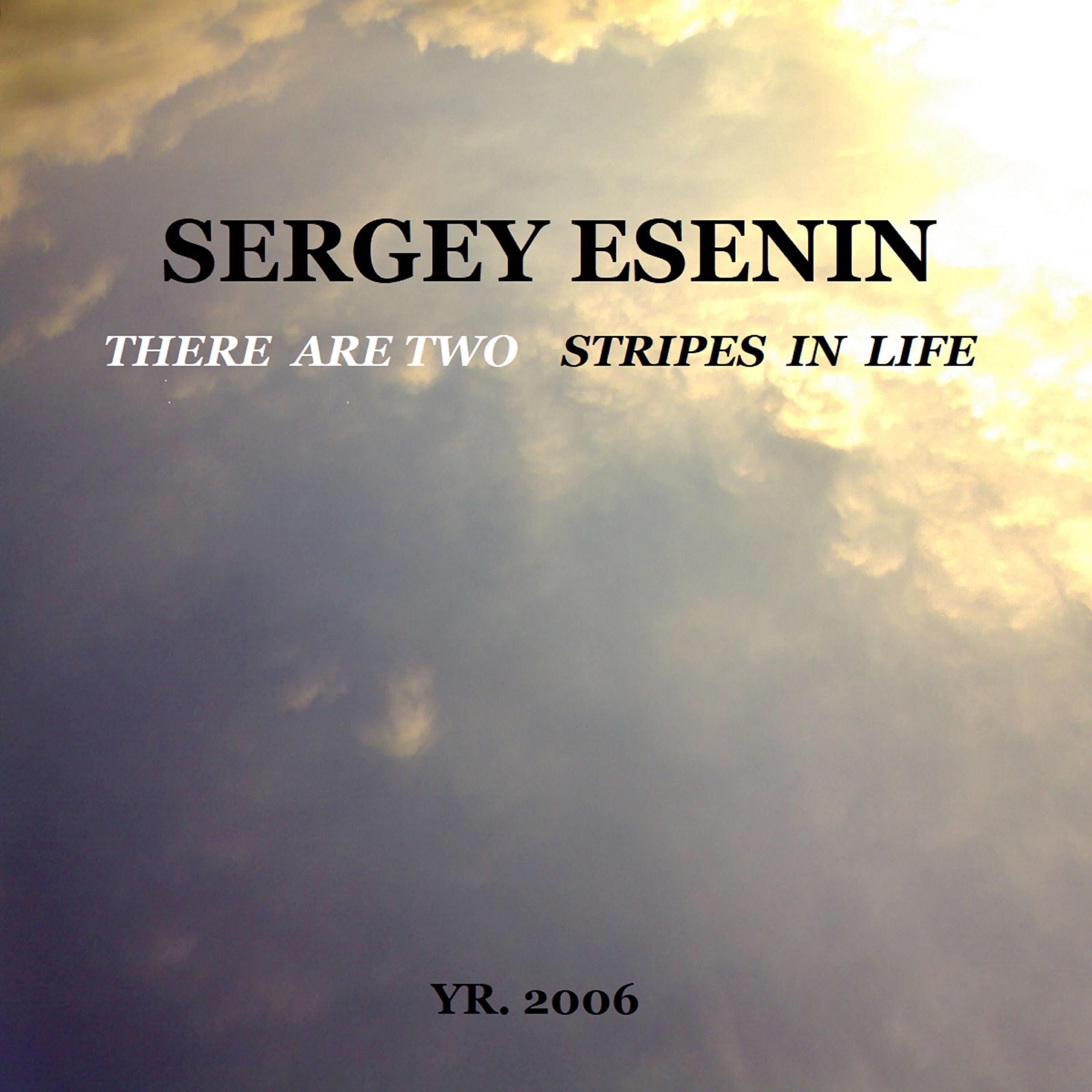 Релиз There Are Two Stripes in Life, Yr. 2006