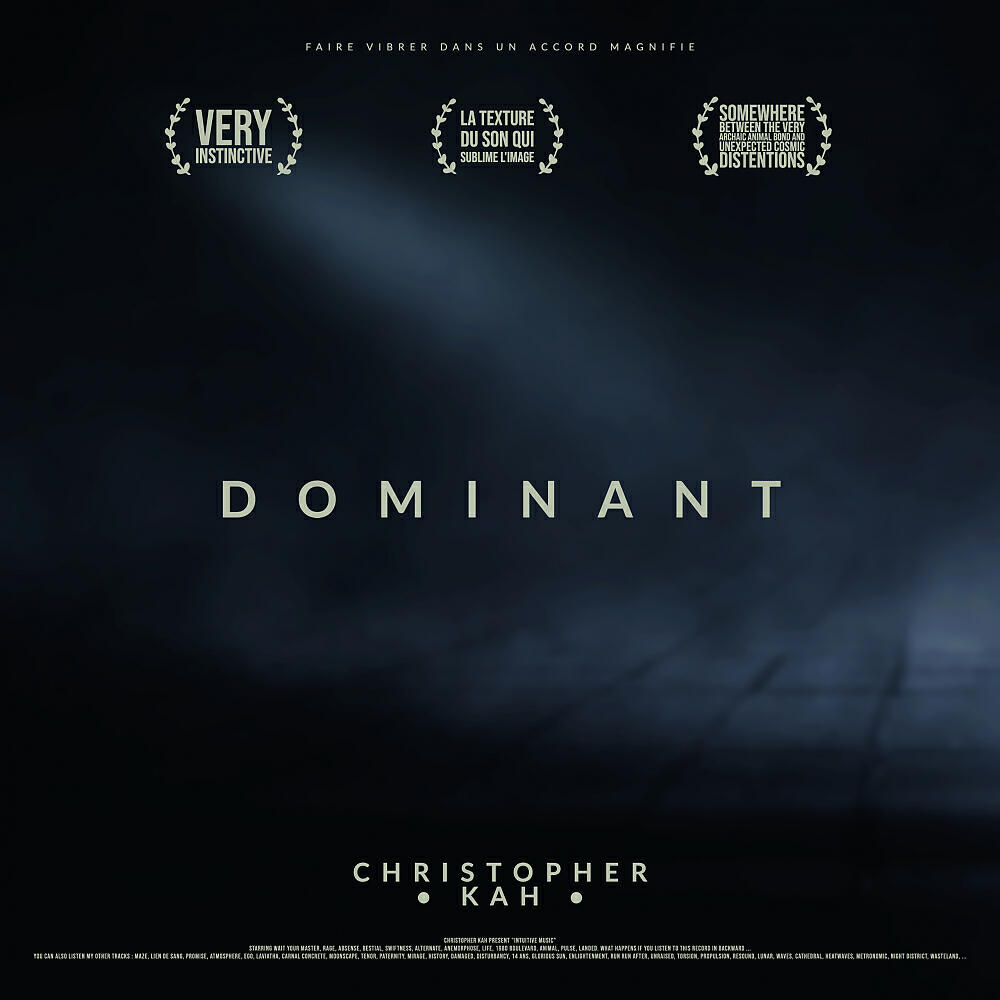 Постер альбома Dominant EP