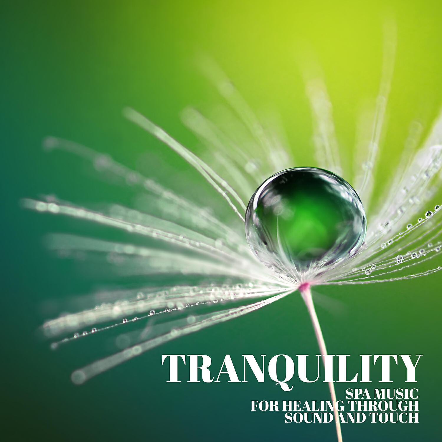 Релиз Tranquility Spa Music for Healing Through Sound and Touch - Relaxing Music for Stress Relief, Zen Therapy and Calm Music for Meditation, Sleep, Relax
