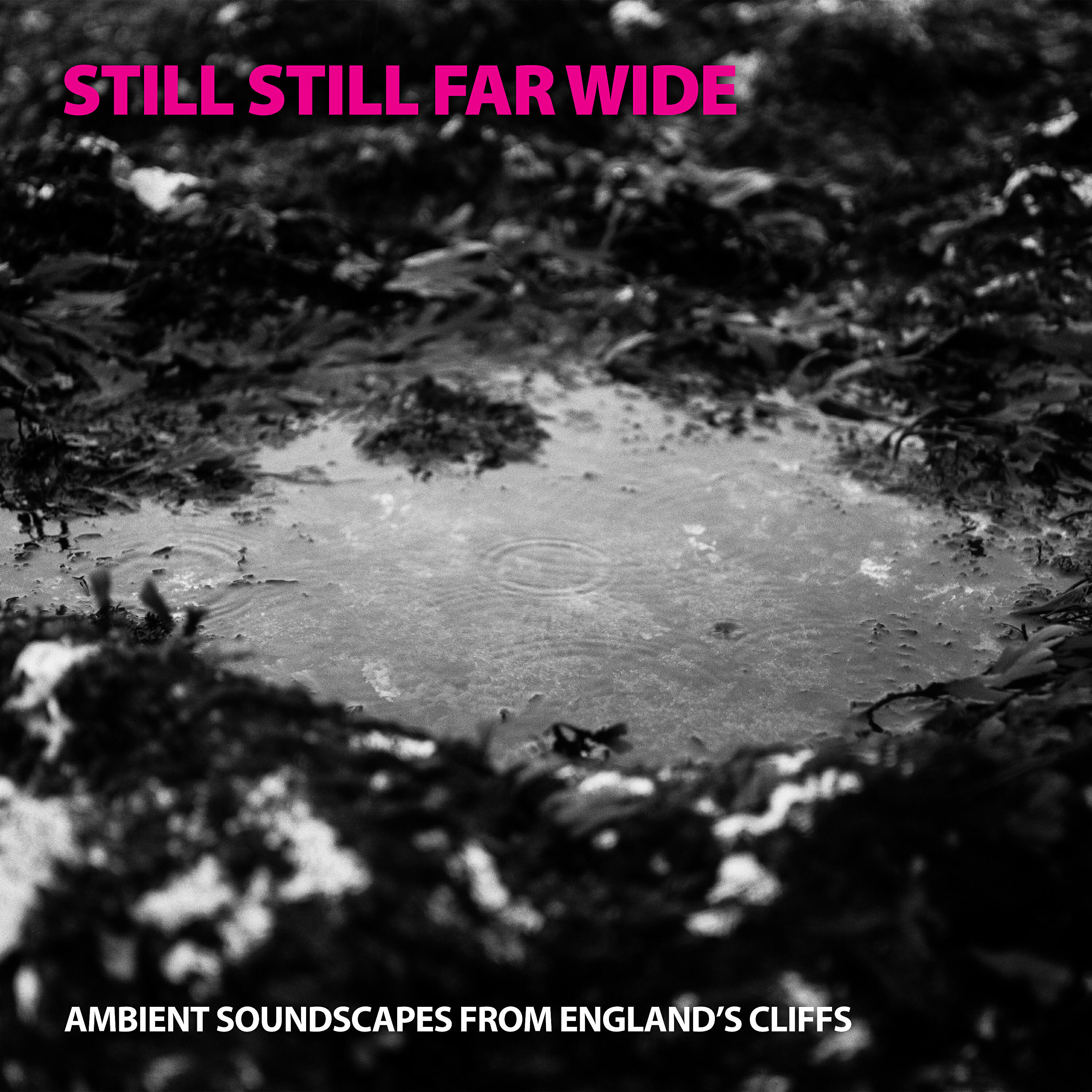 Релиз Still Still Far Wide