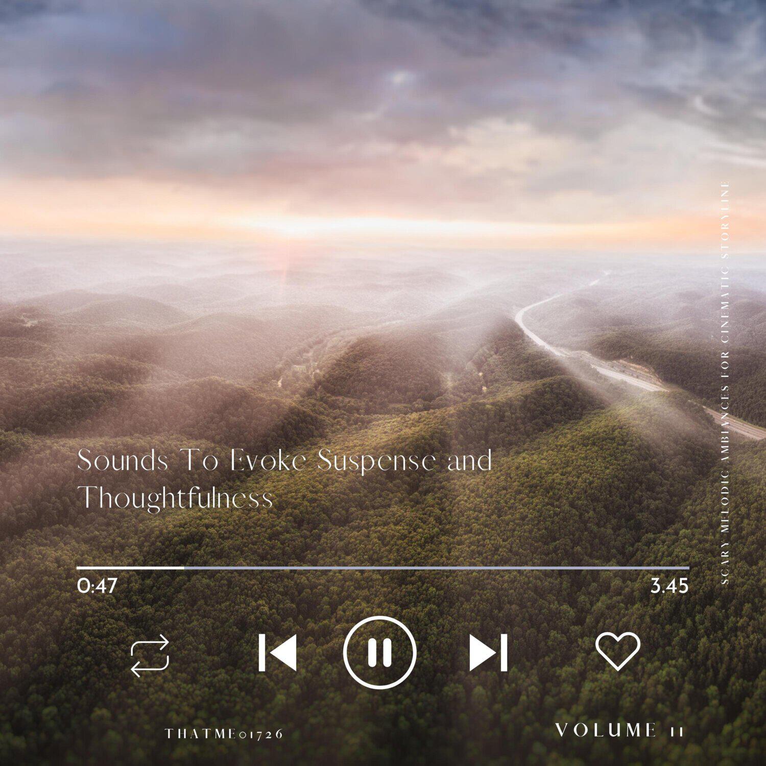 Релиз Sounds To Evoke Suspense and Thoughtfulness - Scary Melodic Ambiances for Cinematic Storyline, Vol. 11