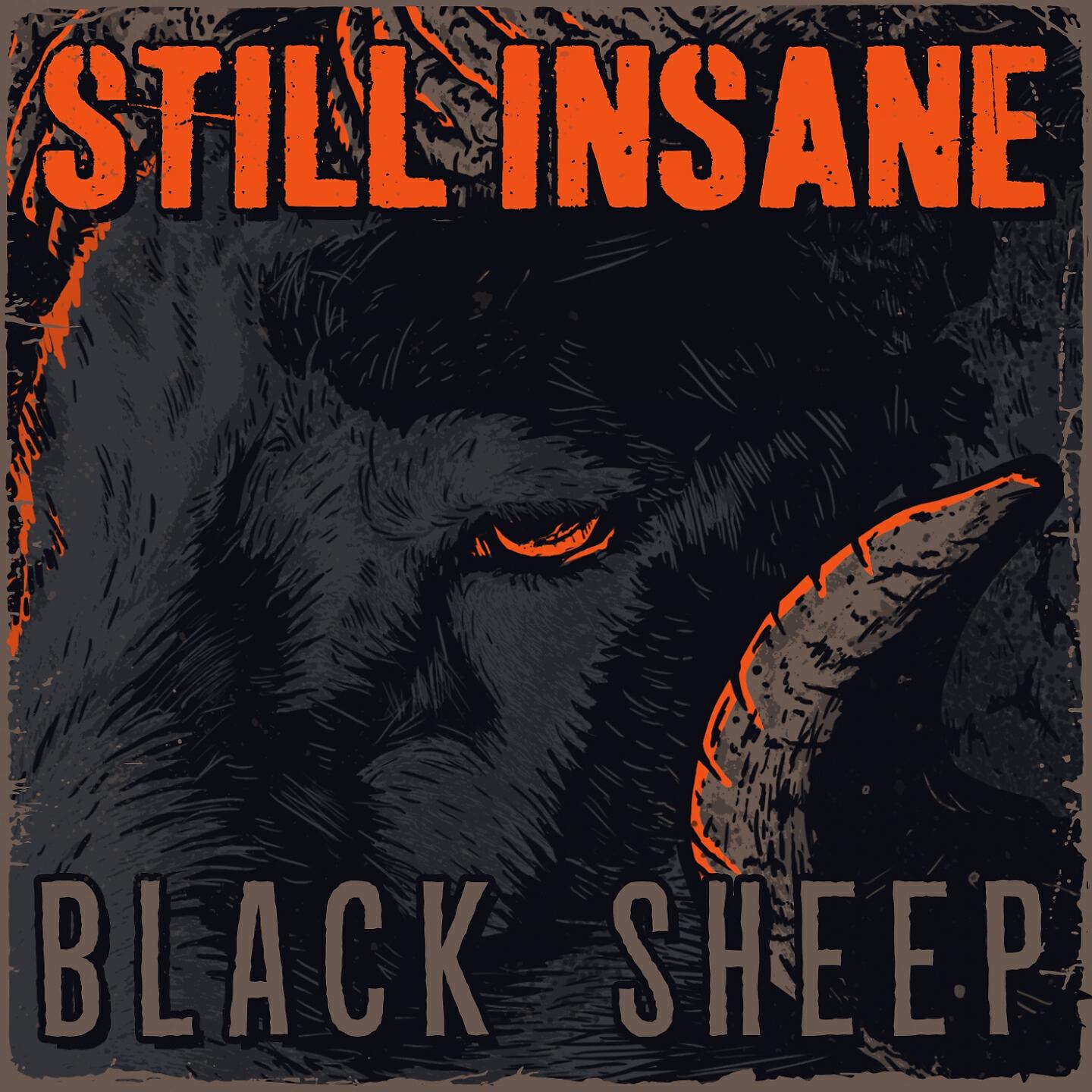 Релиз Black Sheep
