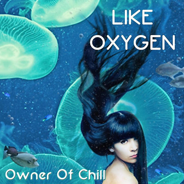Owner of Chill