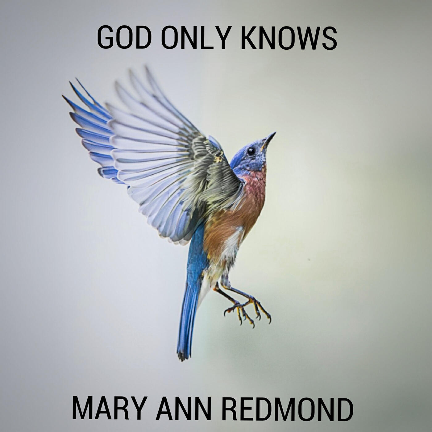 Mary Ann Redmond