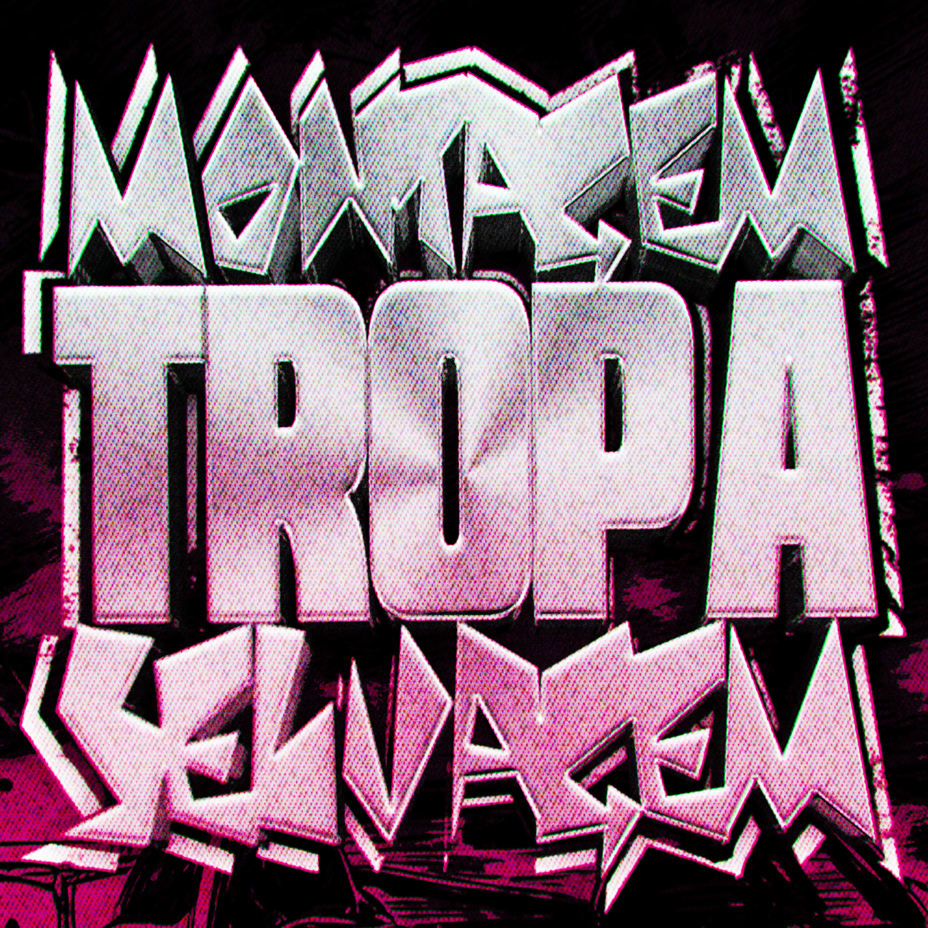 Релиз MONTAGEM TROPA SELVAGEM
