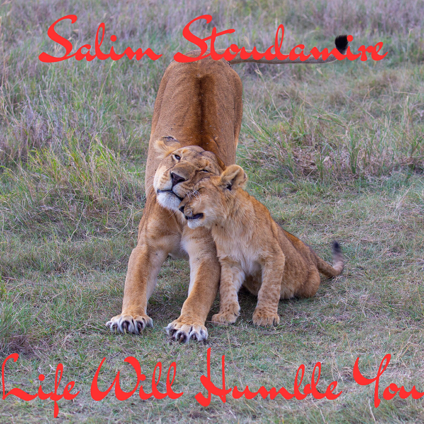 Релиз Life Will Humble You