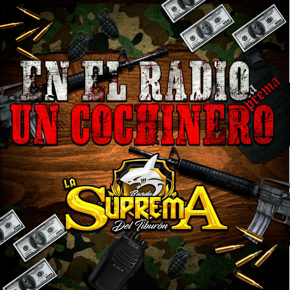 Релиз En la Radio un Cochinero