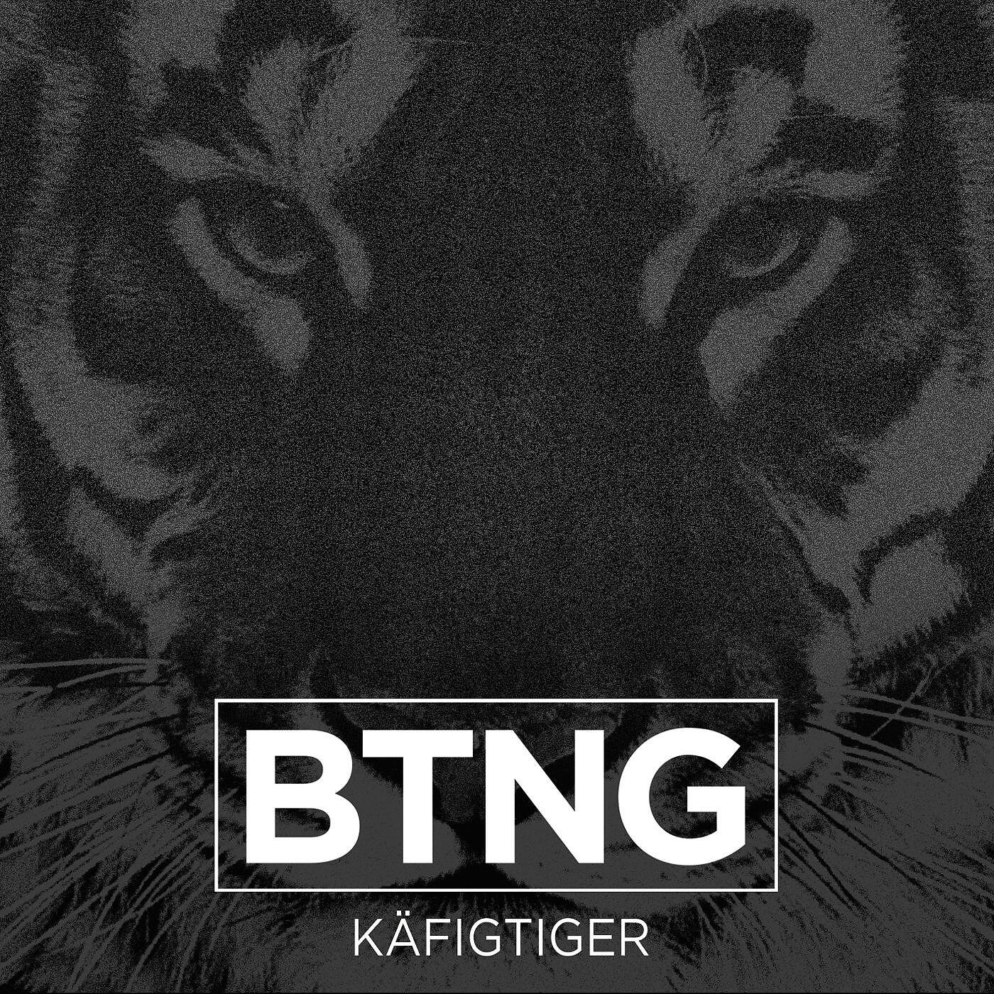 Релиз Käfigtiger