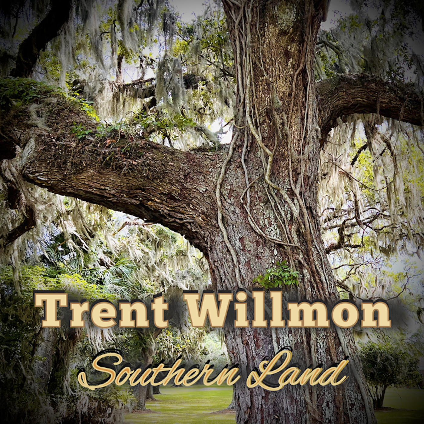 Релиз Southern Land