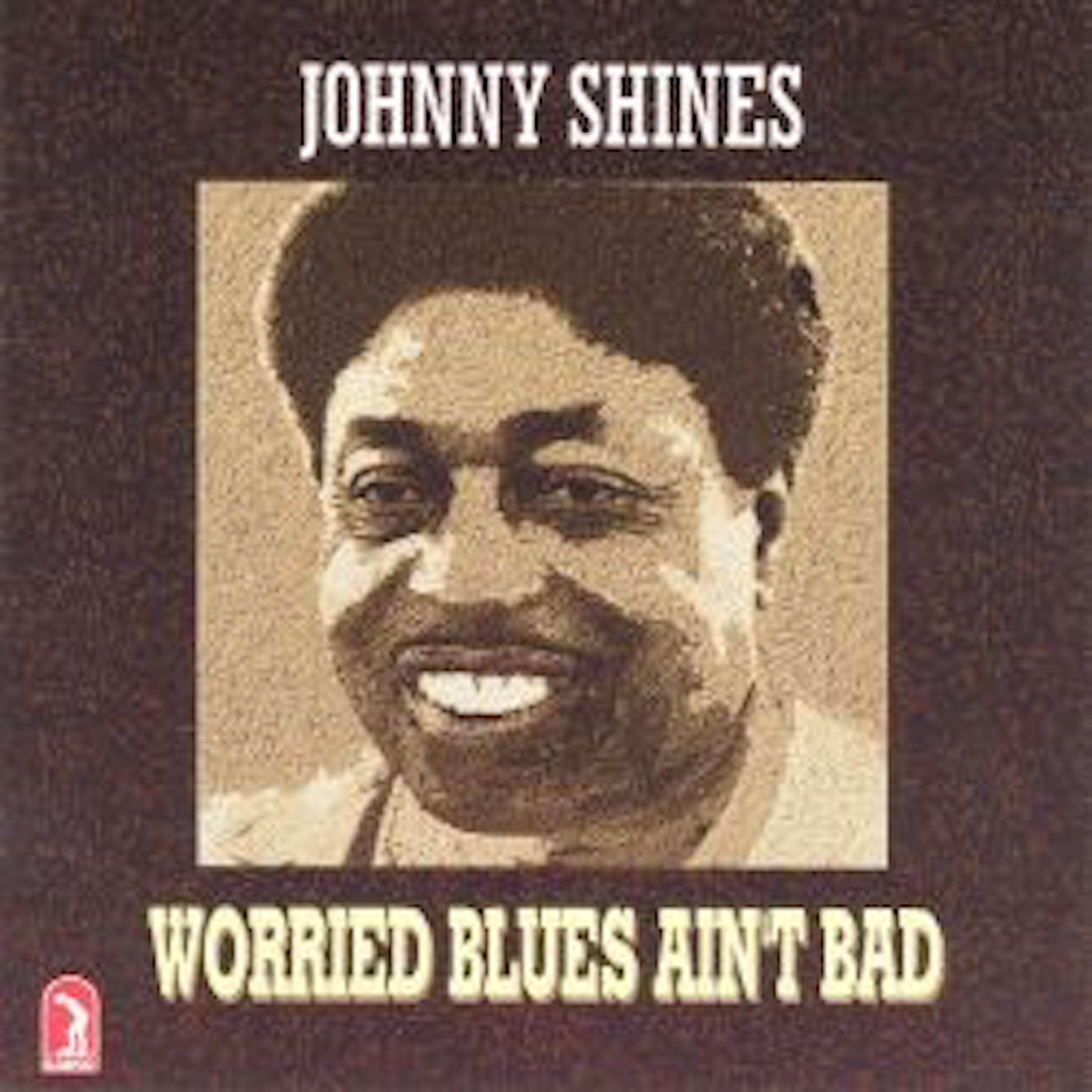Постер альбома Worried Blues Ain't Bad