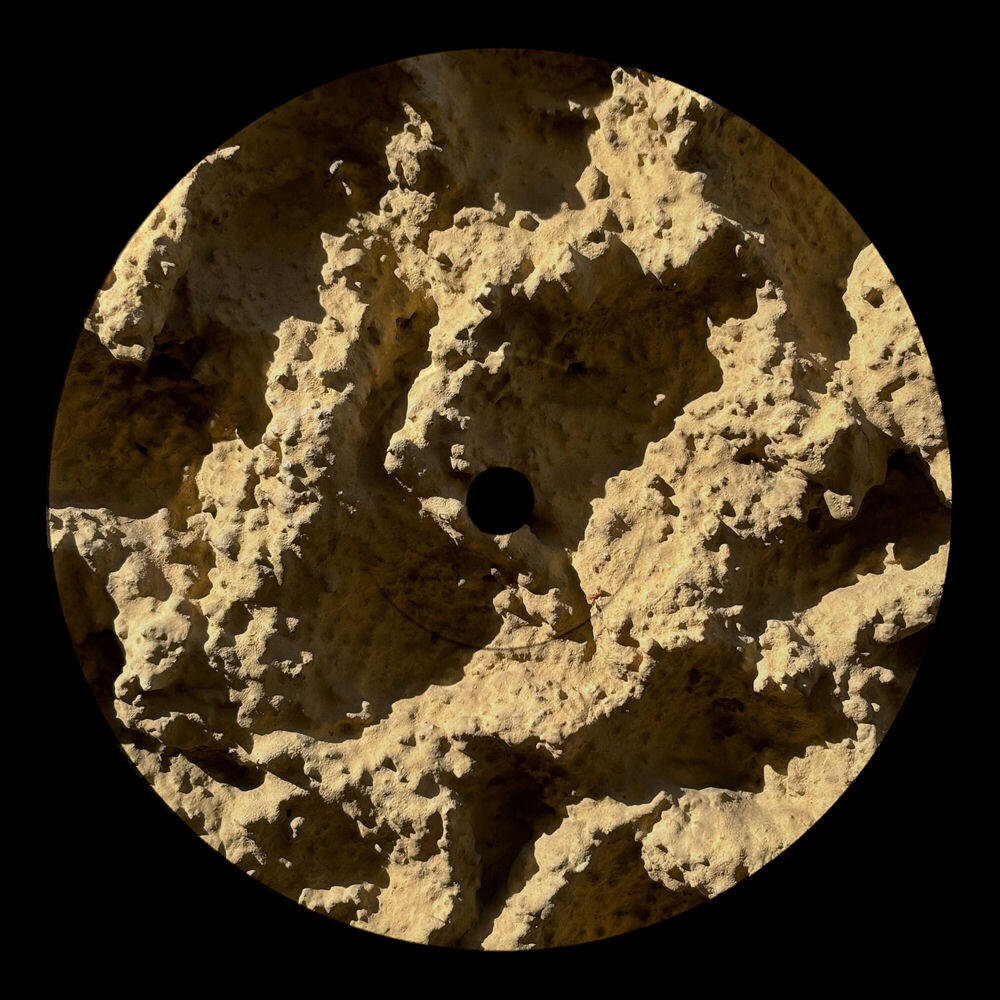 Релиз Phyllophaga