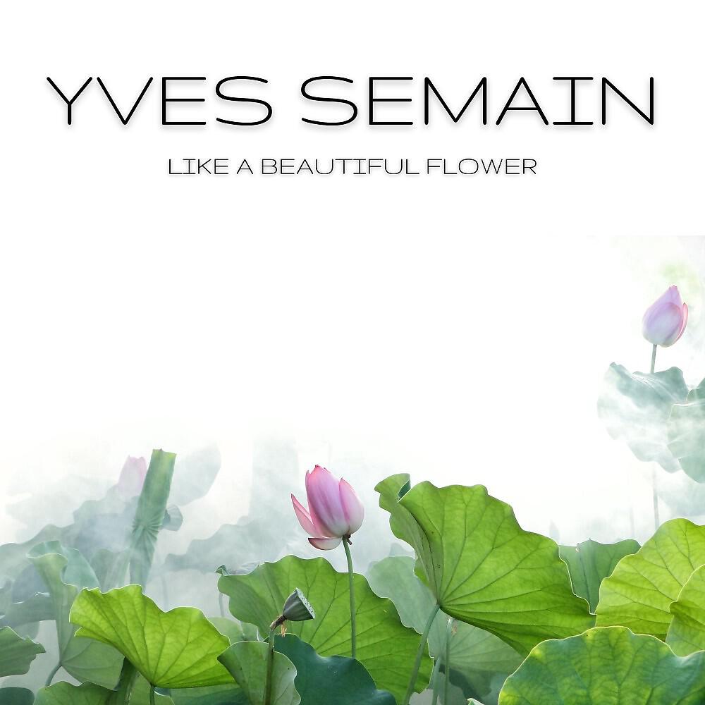 Релиз Like a Beautiful Flower
