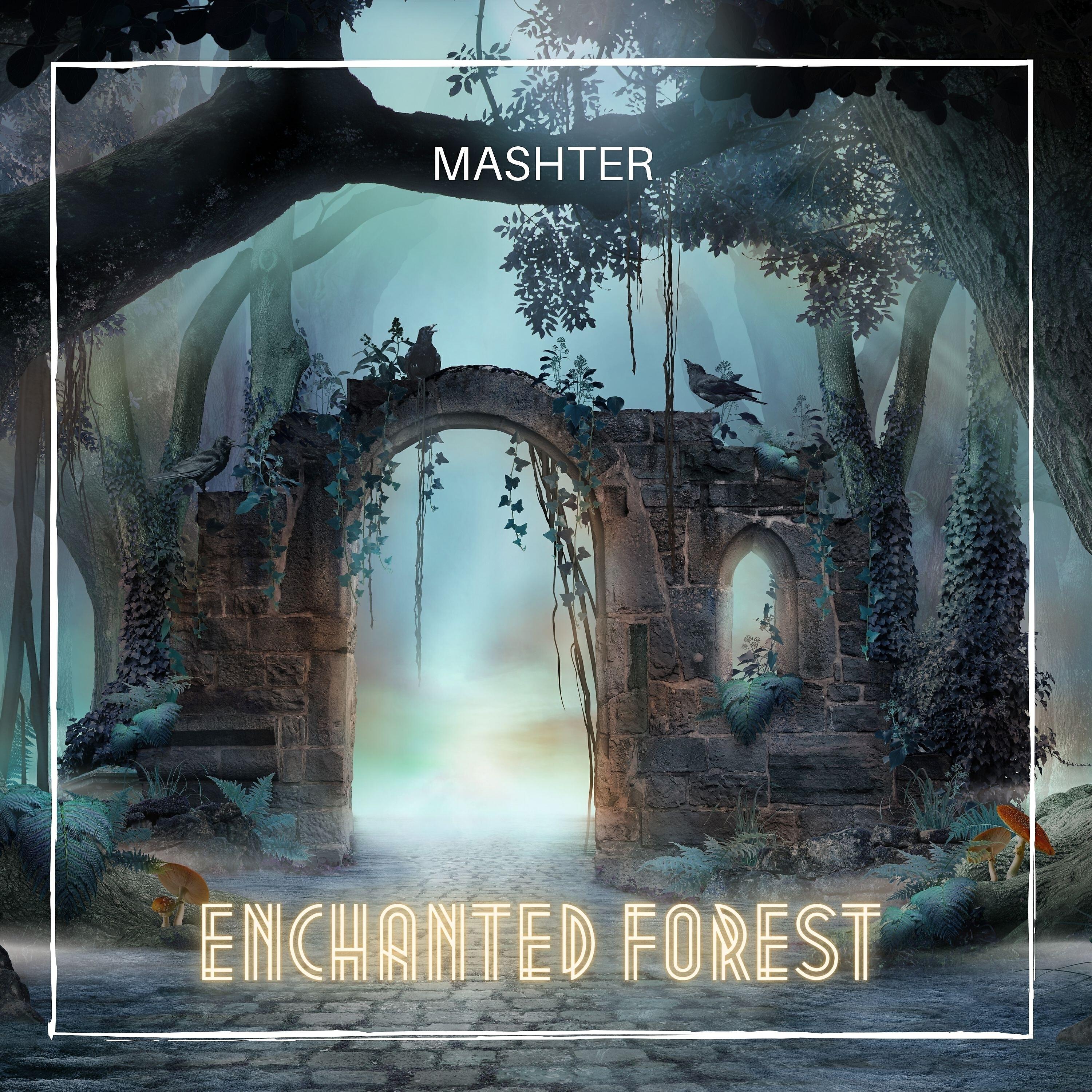 Релиз Enchanted Forest