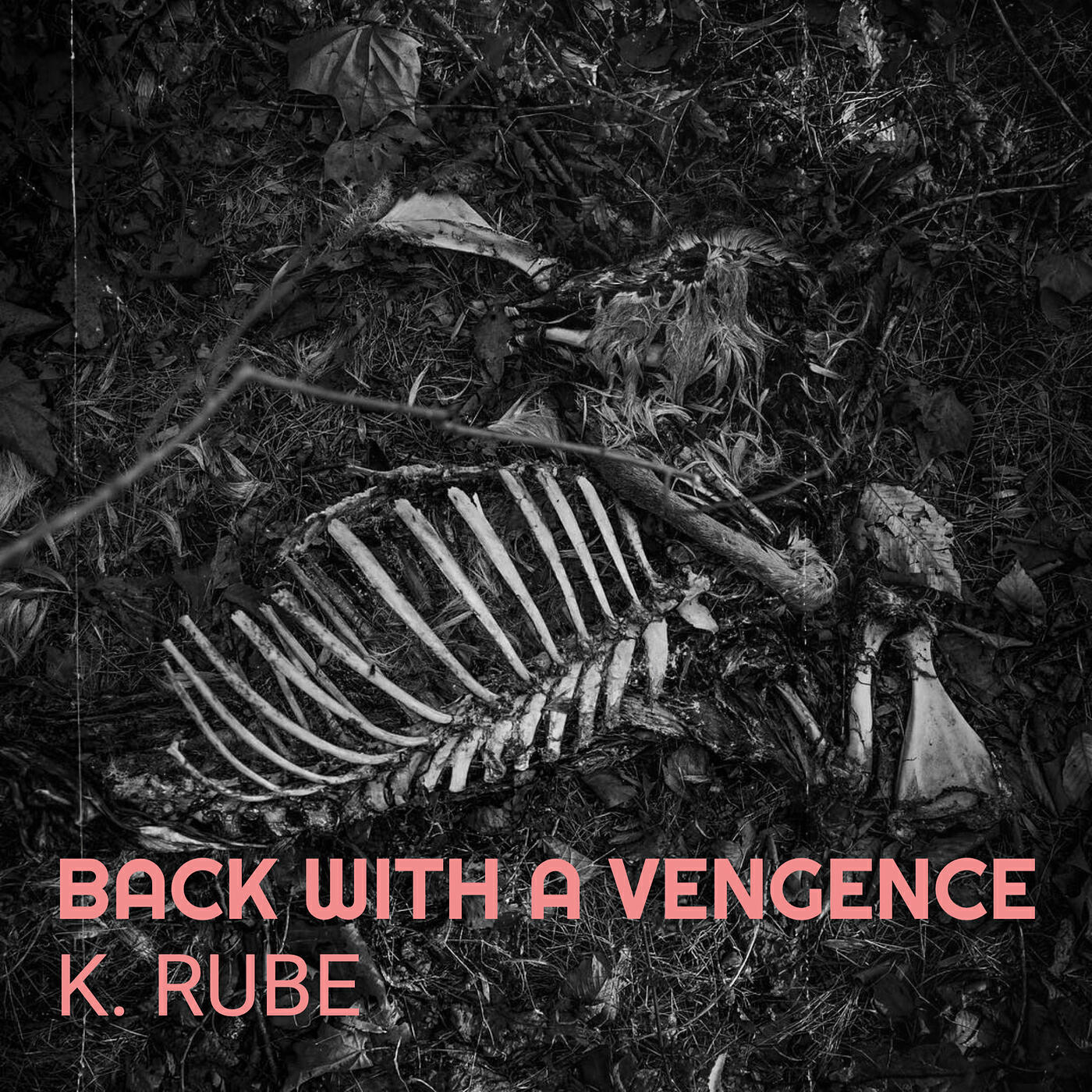 Релиз Back With a Vengence