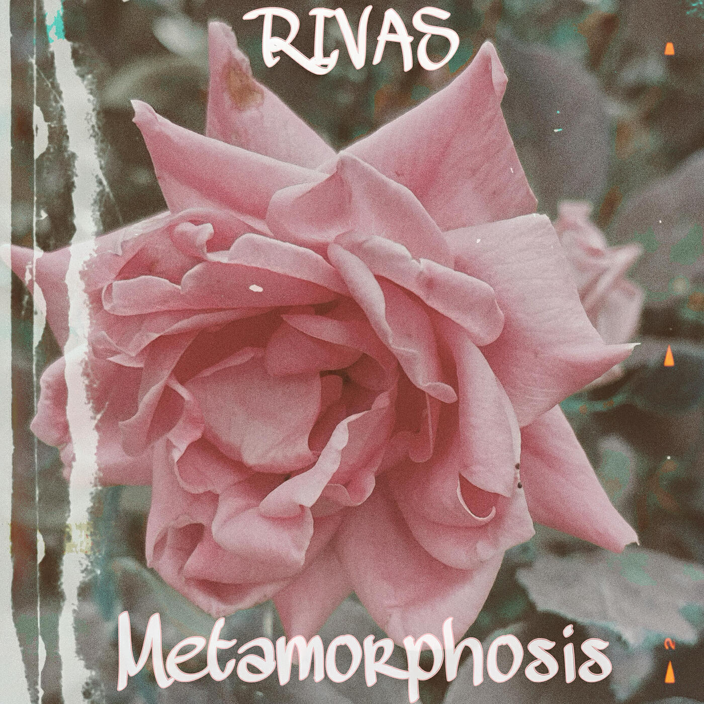 Релиз Metamorphosis