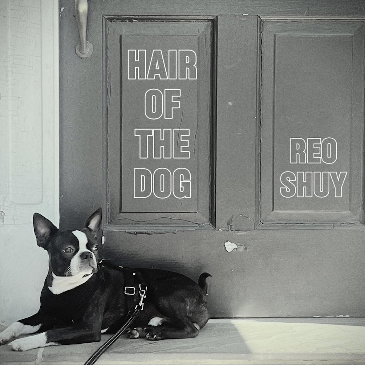Релиз Hair of the Dog