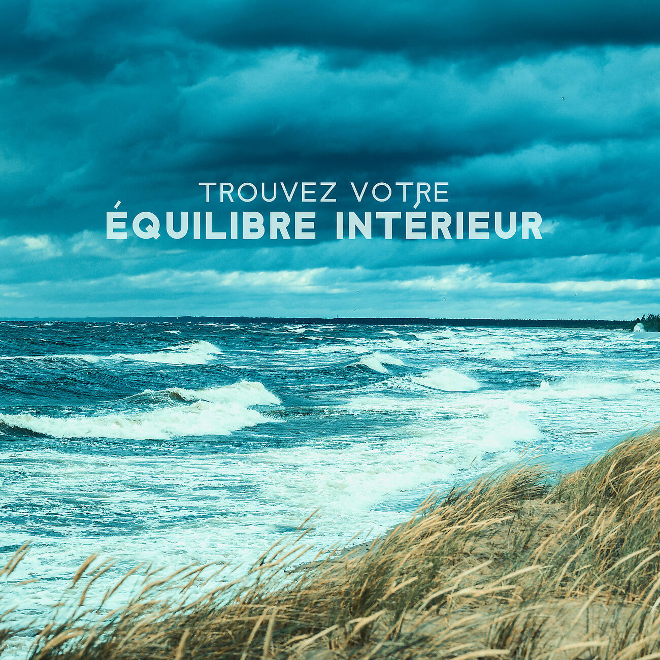 Релиз Trouvez votre équilibre intérieur