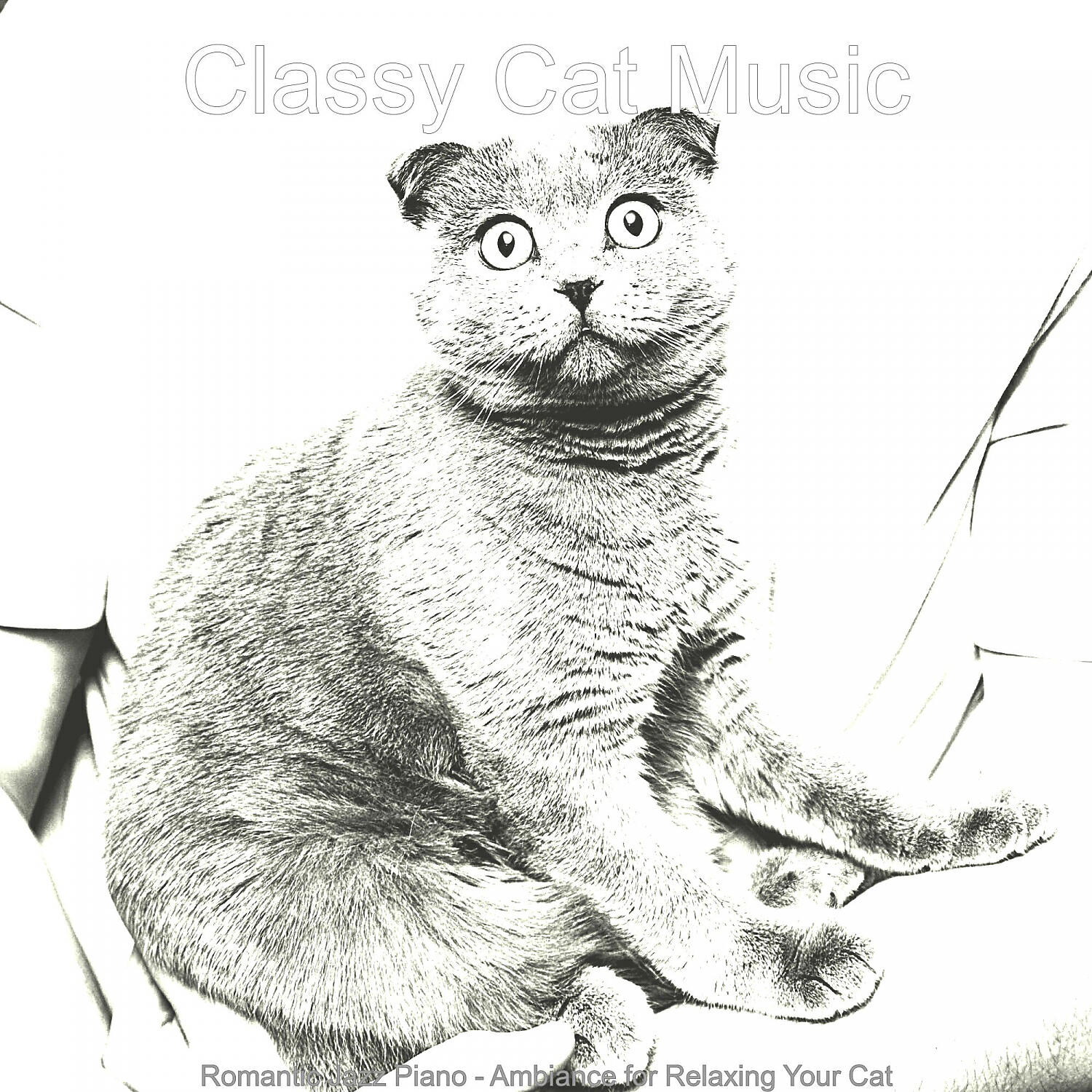 Classy Cat Music
