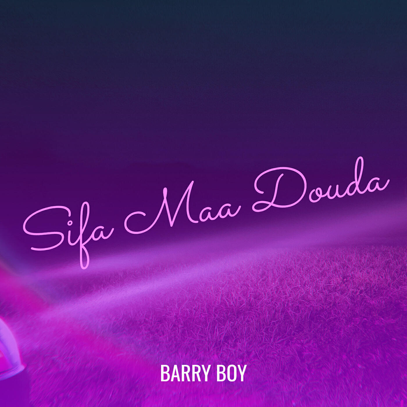 Barry Boy