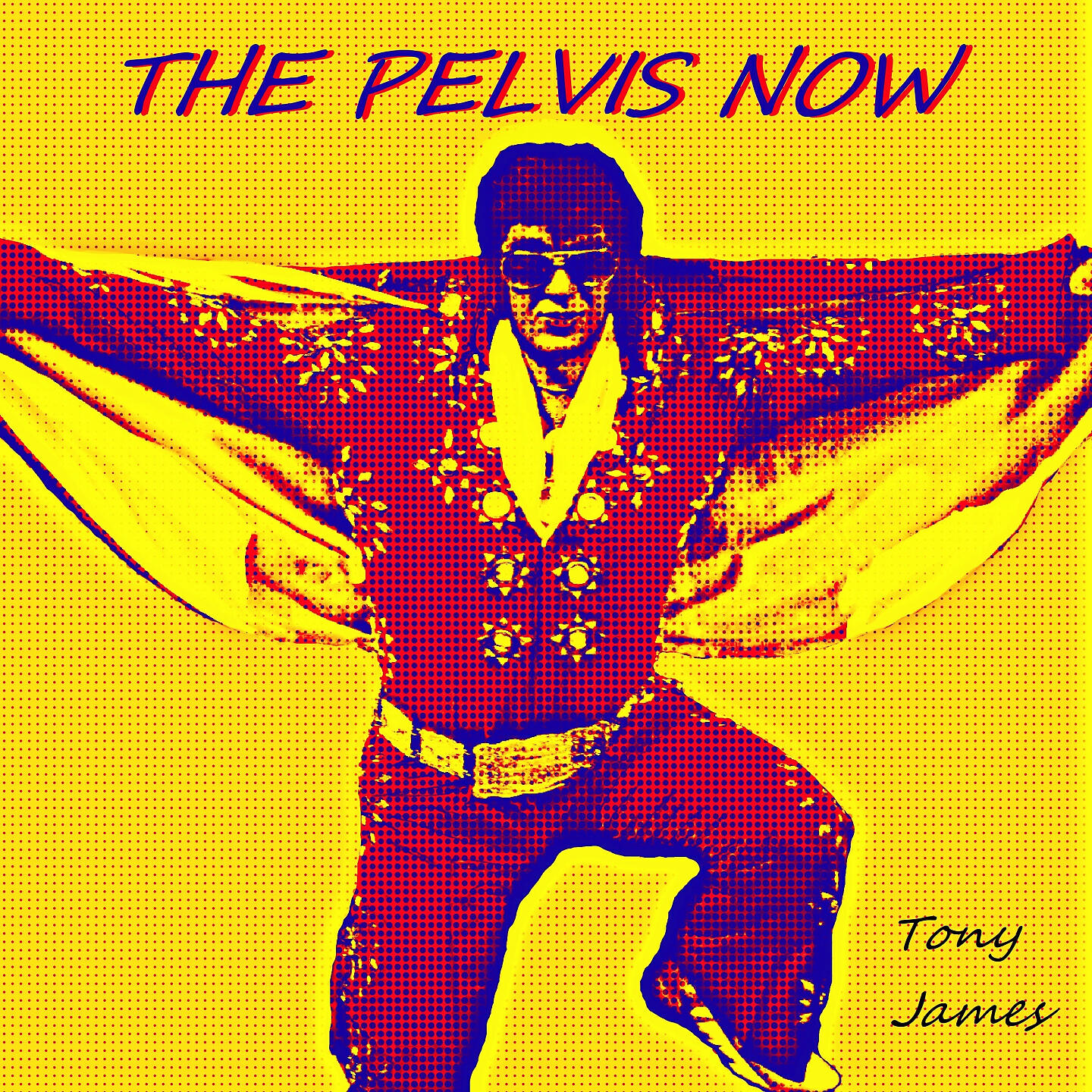 Релиз The Pelvis Now