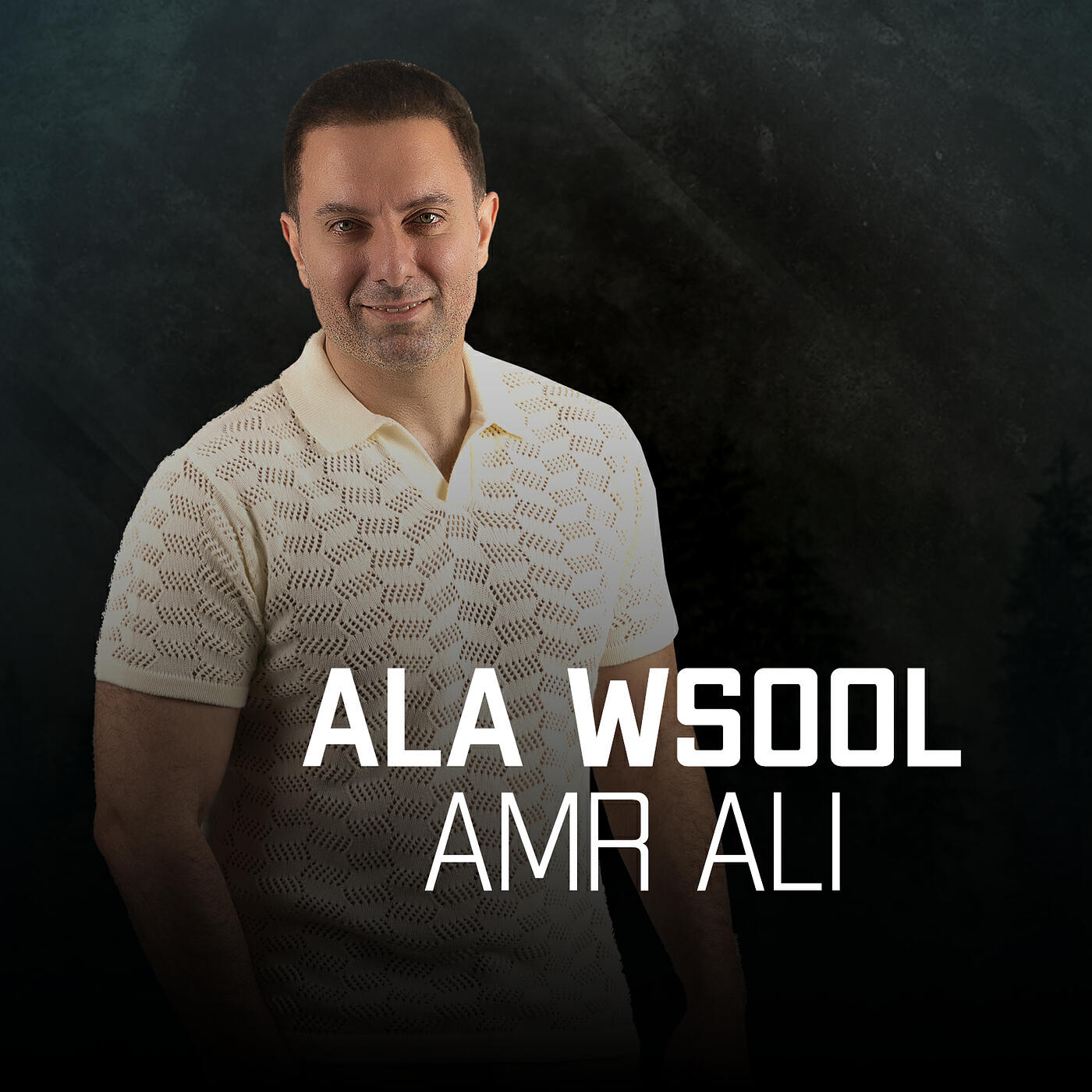 Amr Ali