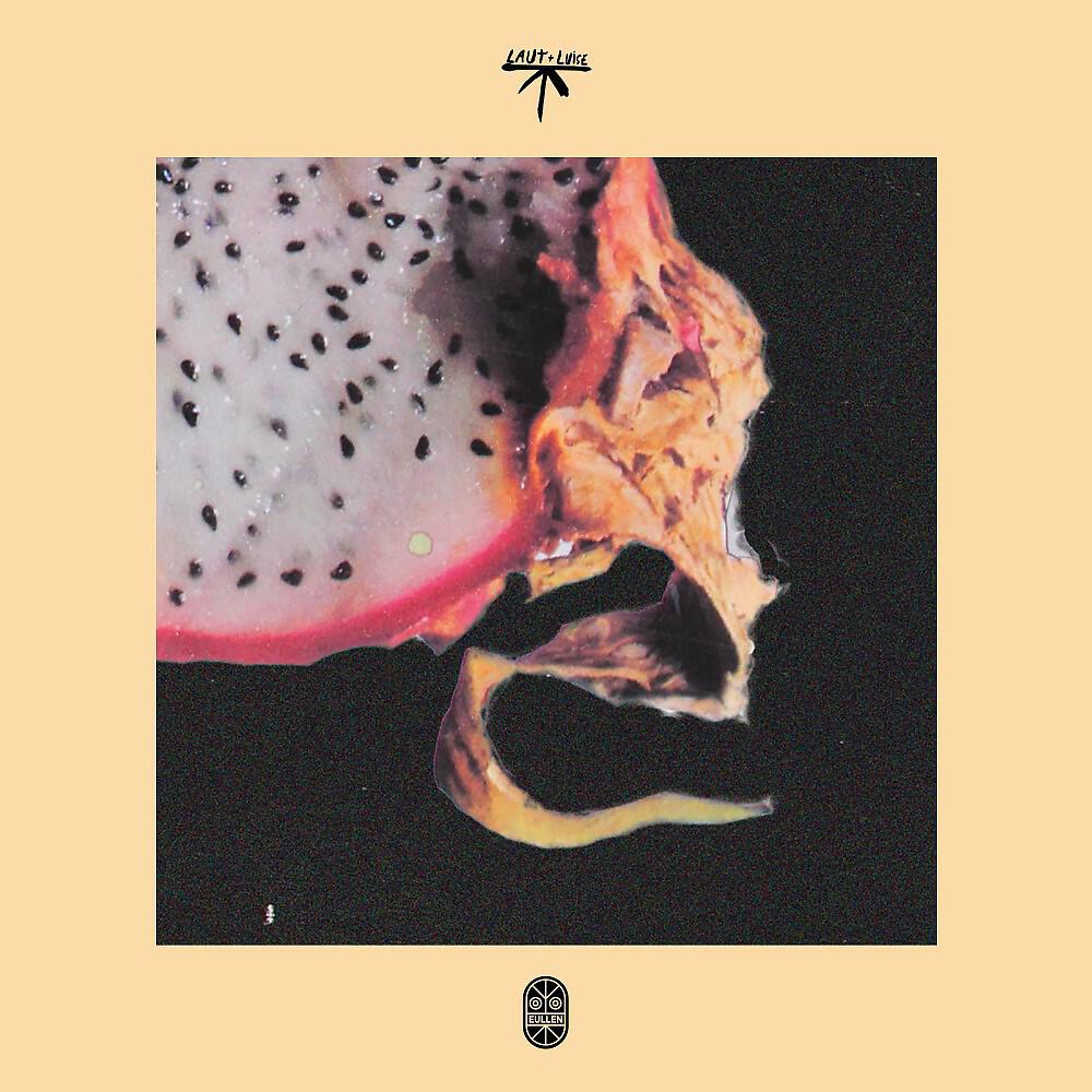 Релиз Akihi