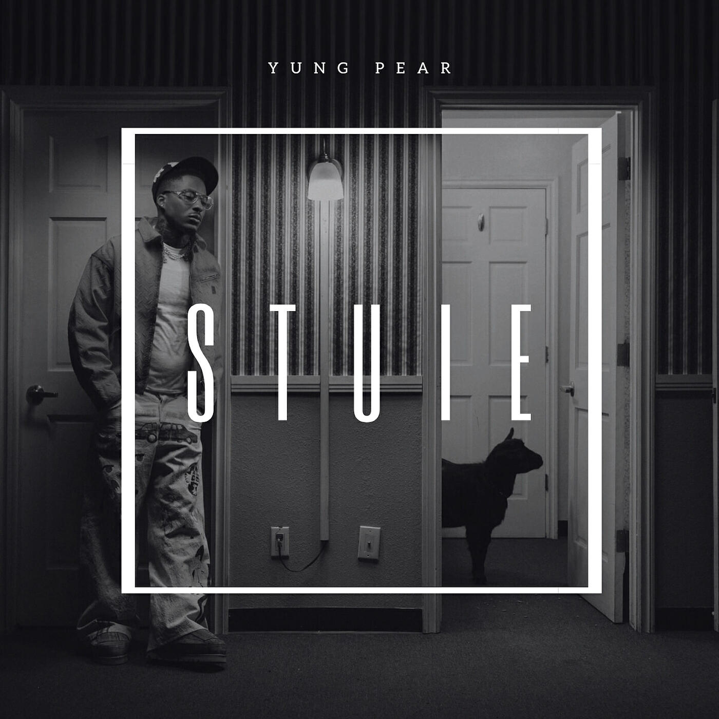 Релиз Stuie