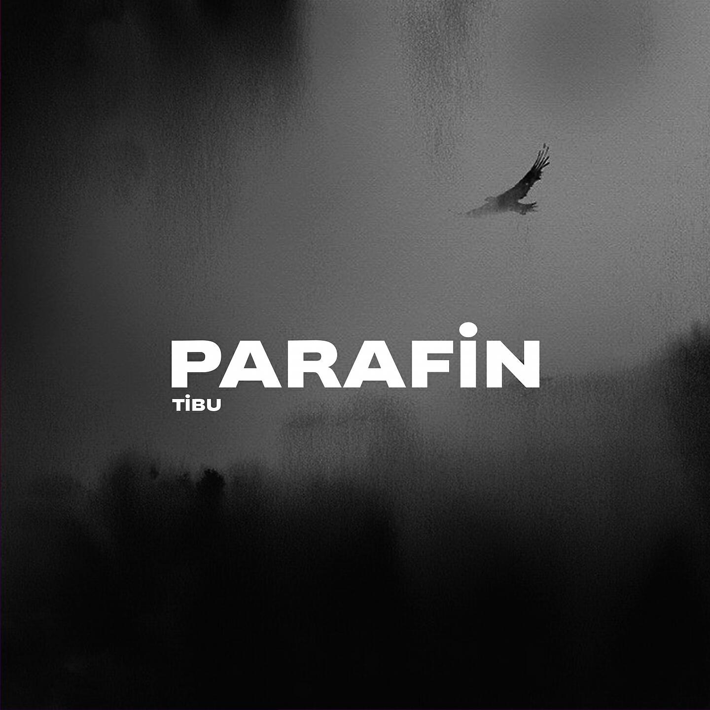 Релиз Parafin