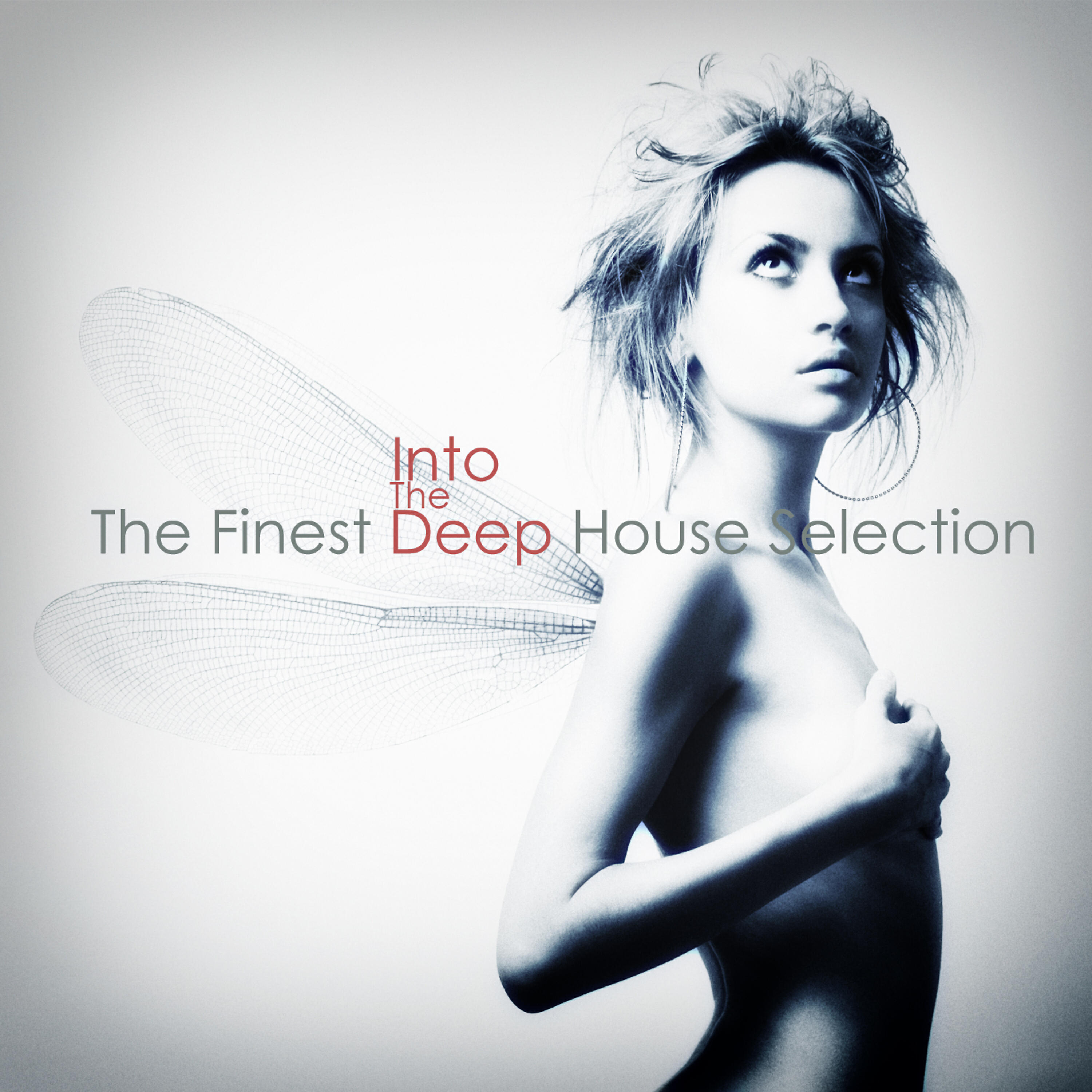 Релиз Into the Deep (The Finest Deep House Selection)