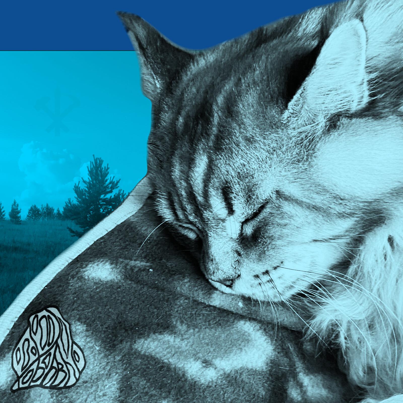 Релиз О ежах и других жителях глубинки. Часть 2: Мир и эстетика