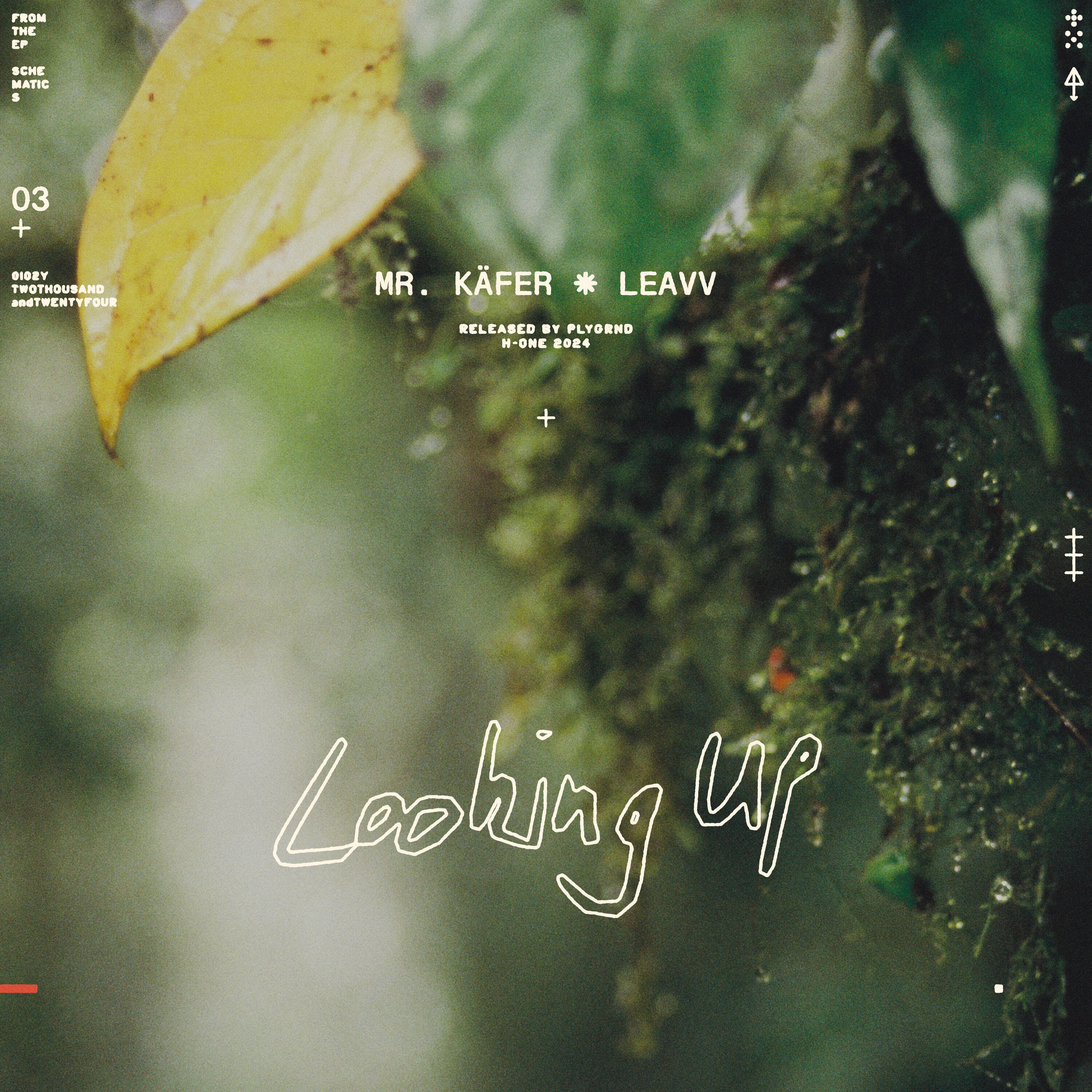 Релиз Looking Up