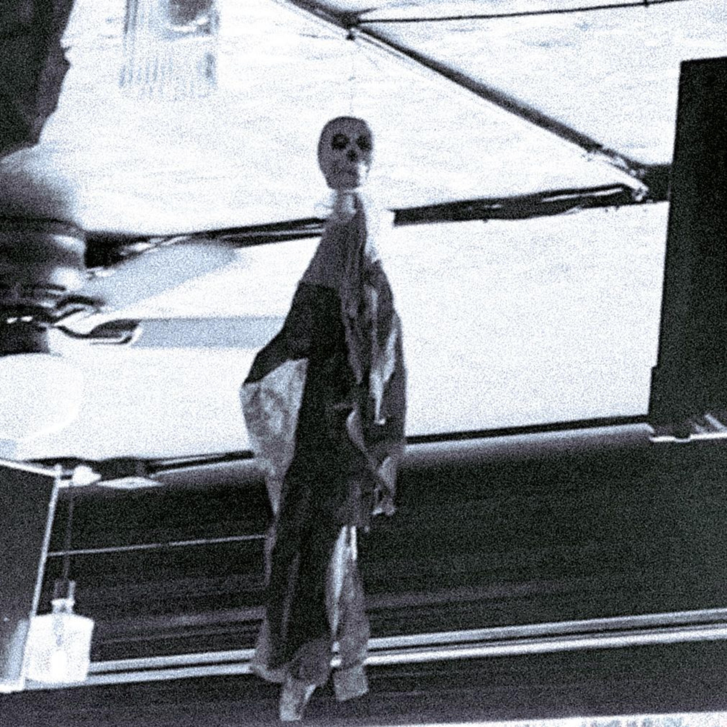 Релиз Freddy Benson