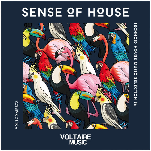 Релиз Sense Of House, Vol. 36