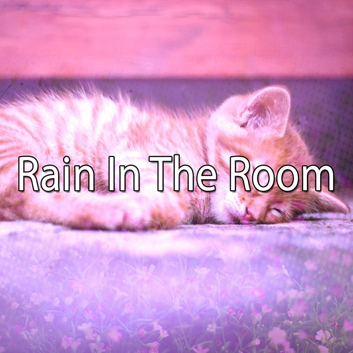 Релиз Rain In The Room