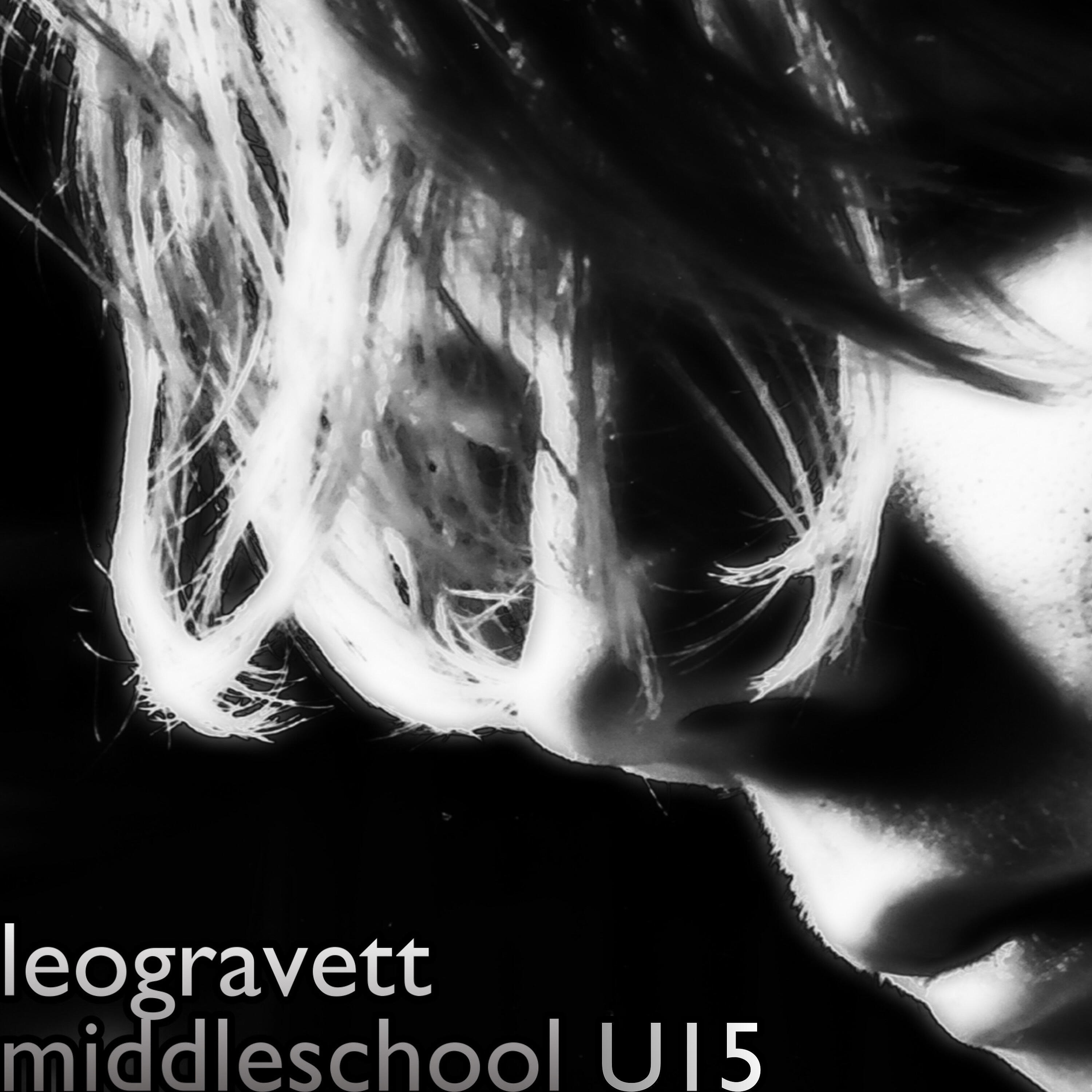 Постер альбома Middleschool U15