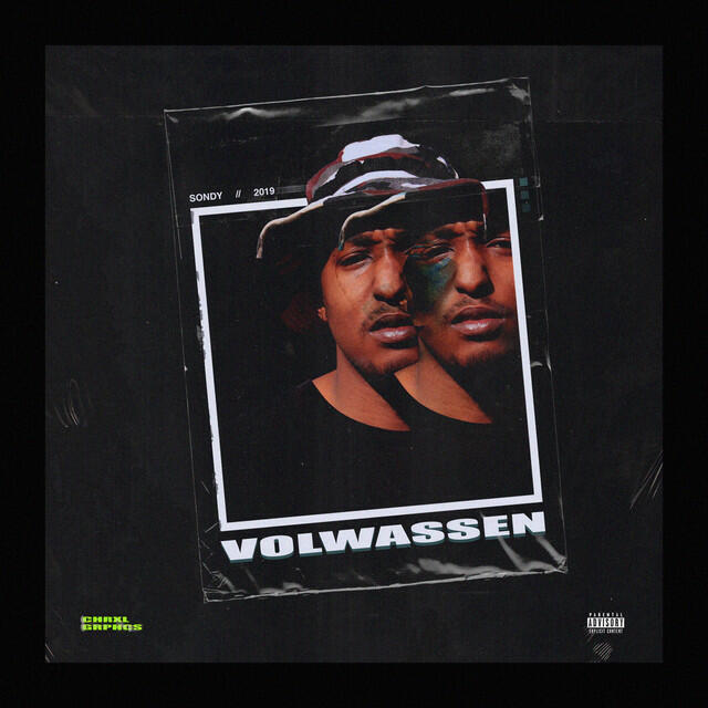 Релиз Volwassen