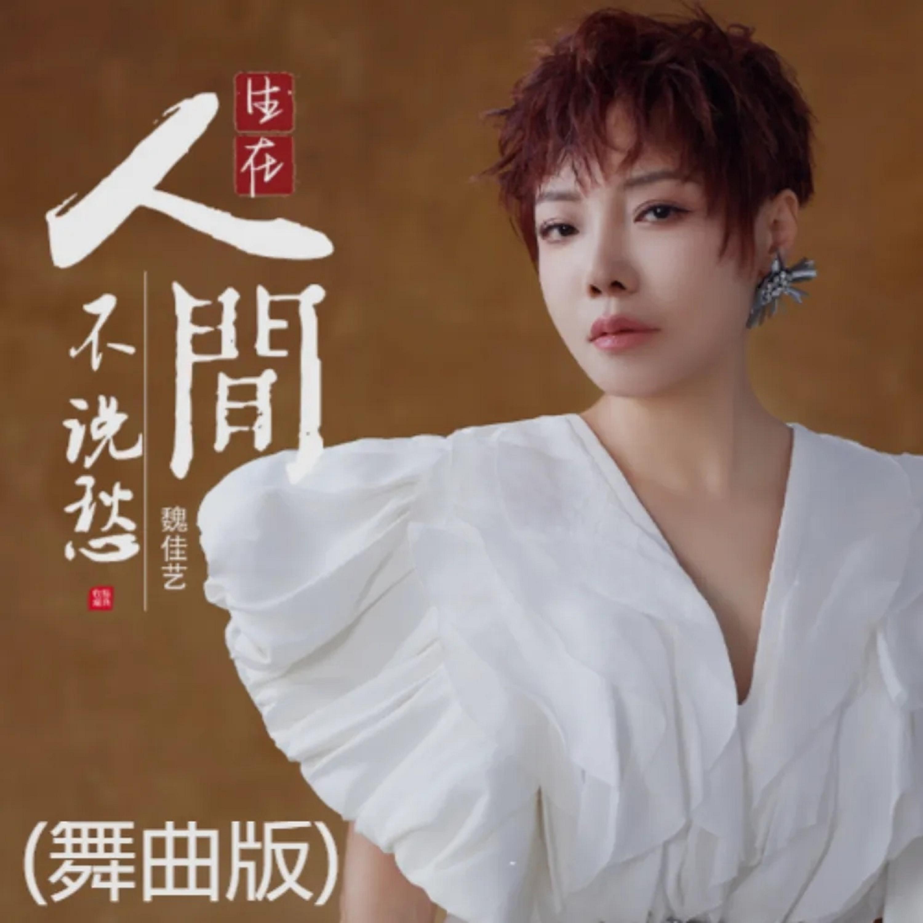 Релиз 生在人间不说愁