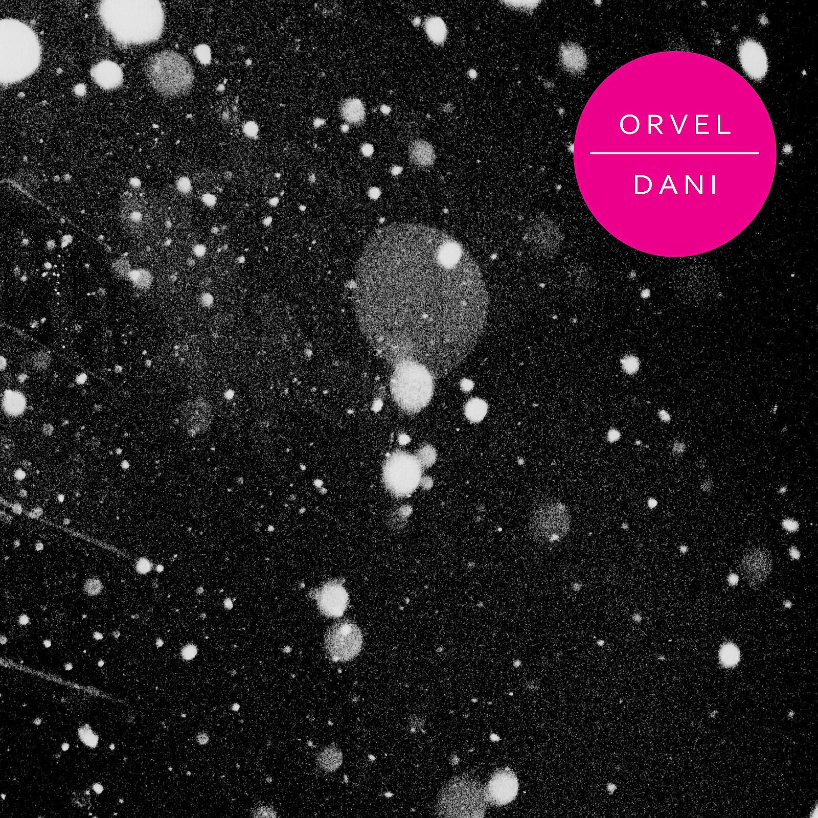 Релиз Dani