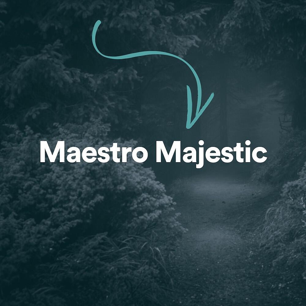 Релиз Maestro Majestic