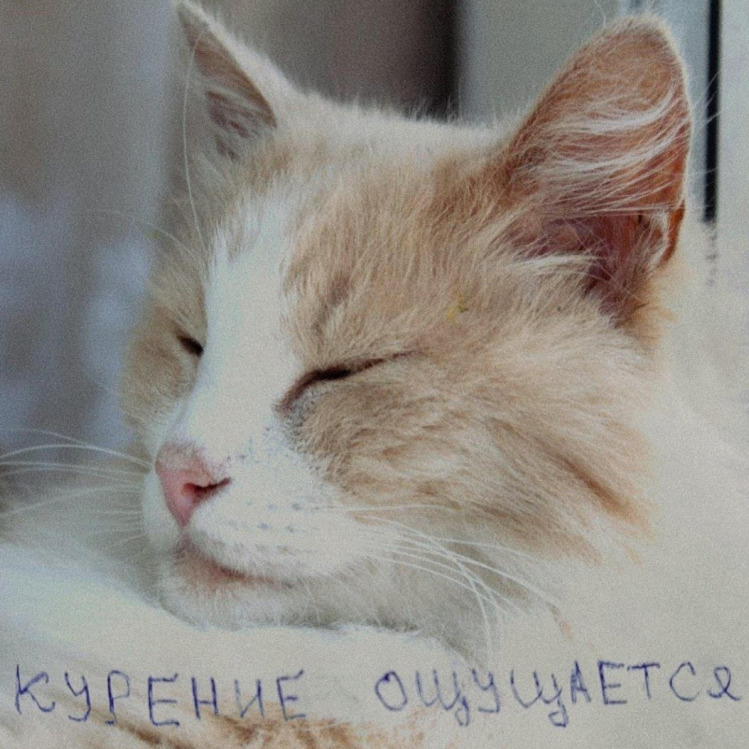 курение ощущается
