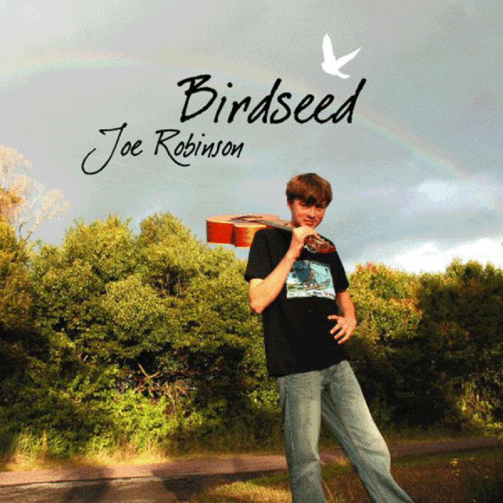 Релиз Birdseed