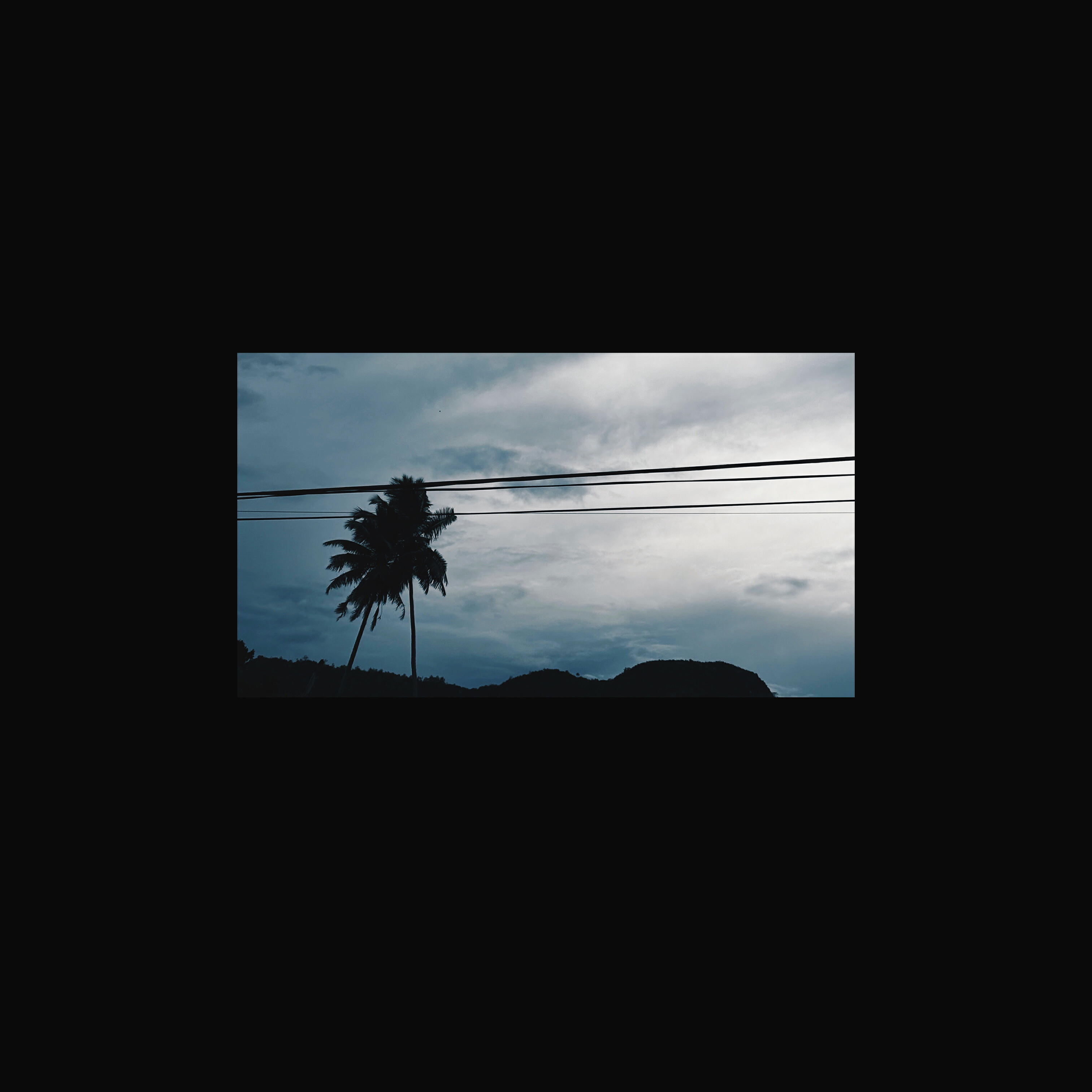 Релиз Noise Cut