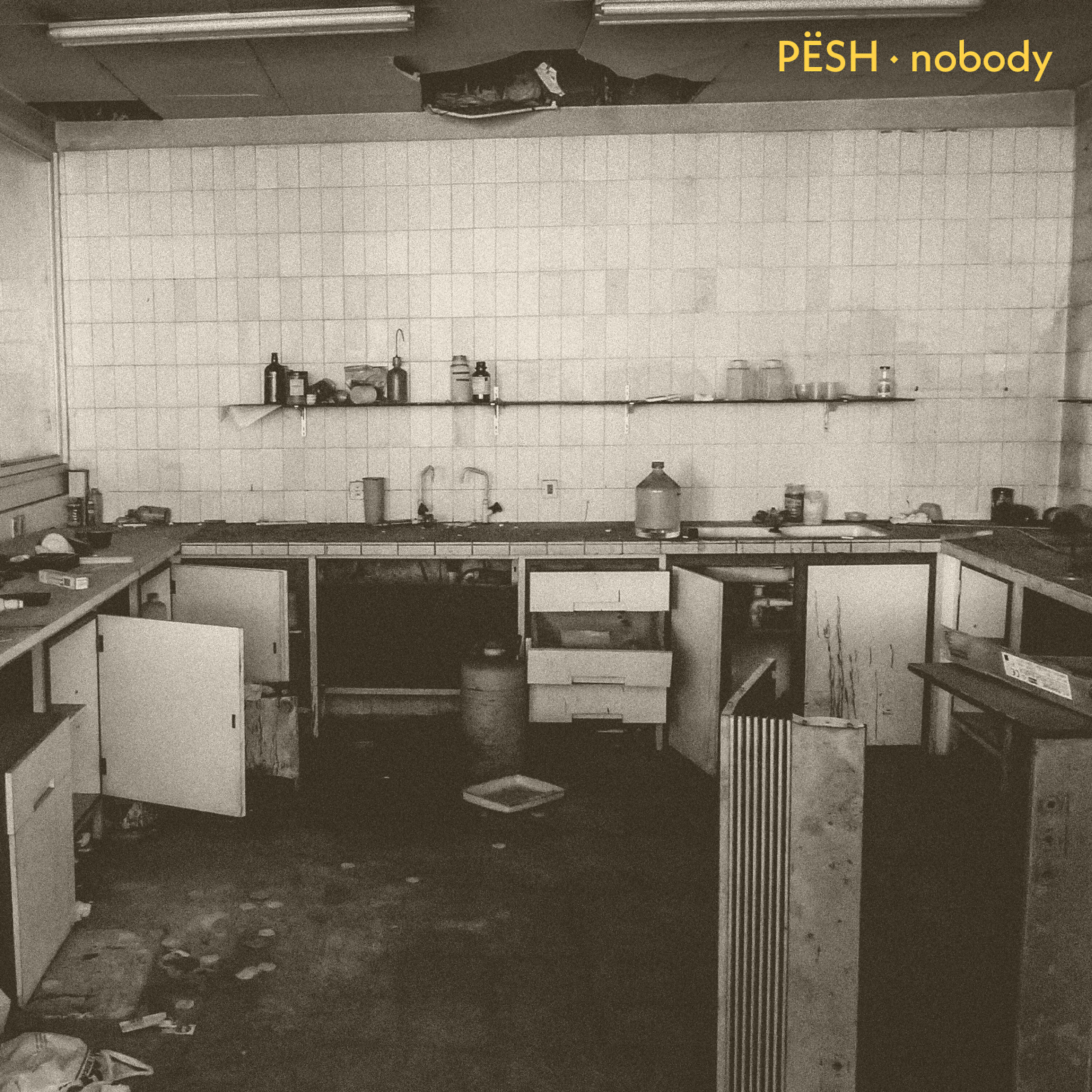 Релиз Nobody