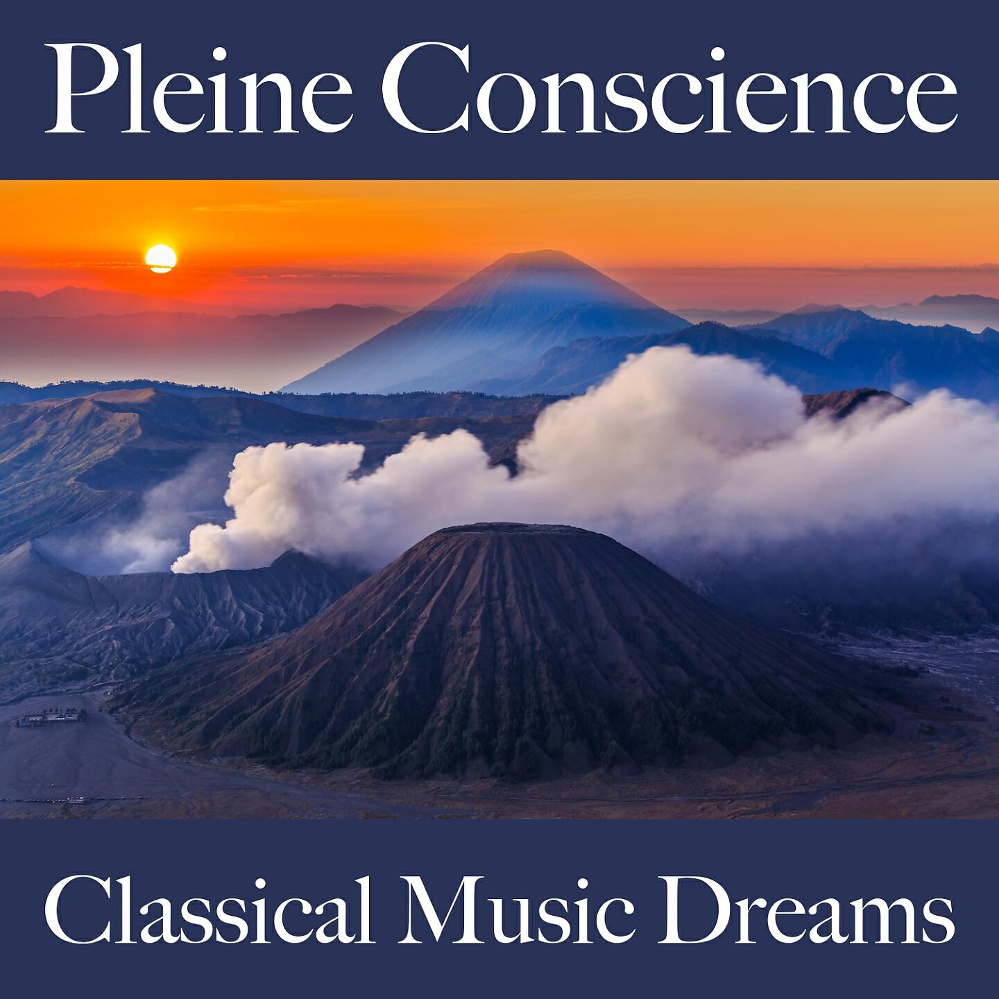 Релиз Pleine Conscience: Classical Music Dreams - La Meilleure Musique Pour Se Détendre