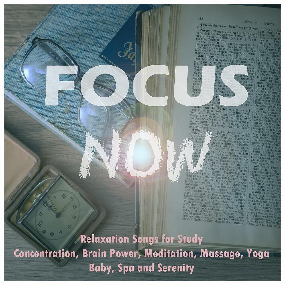Релиз Focus Now: Relaxation Songs for Study, Concentration, Brain Power, Meditation, Massage, Yoga, Baby, Spa and Serenity